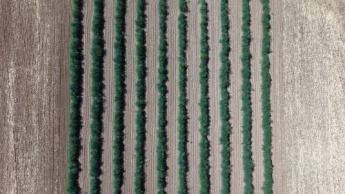 DJI_20260706152652_0009_D.JPG